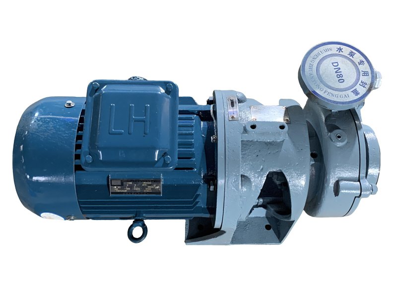 Atla Marine complete pump photo 100